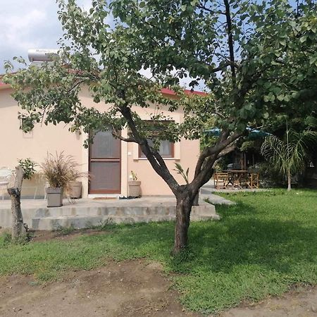 Tiny House By The Sea Villa Nea Skioni Exterior photo