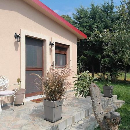 Tiny House By The Sea Villa Nea Skioni Exterior photo