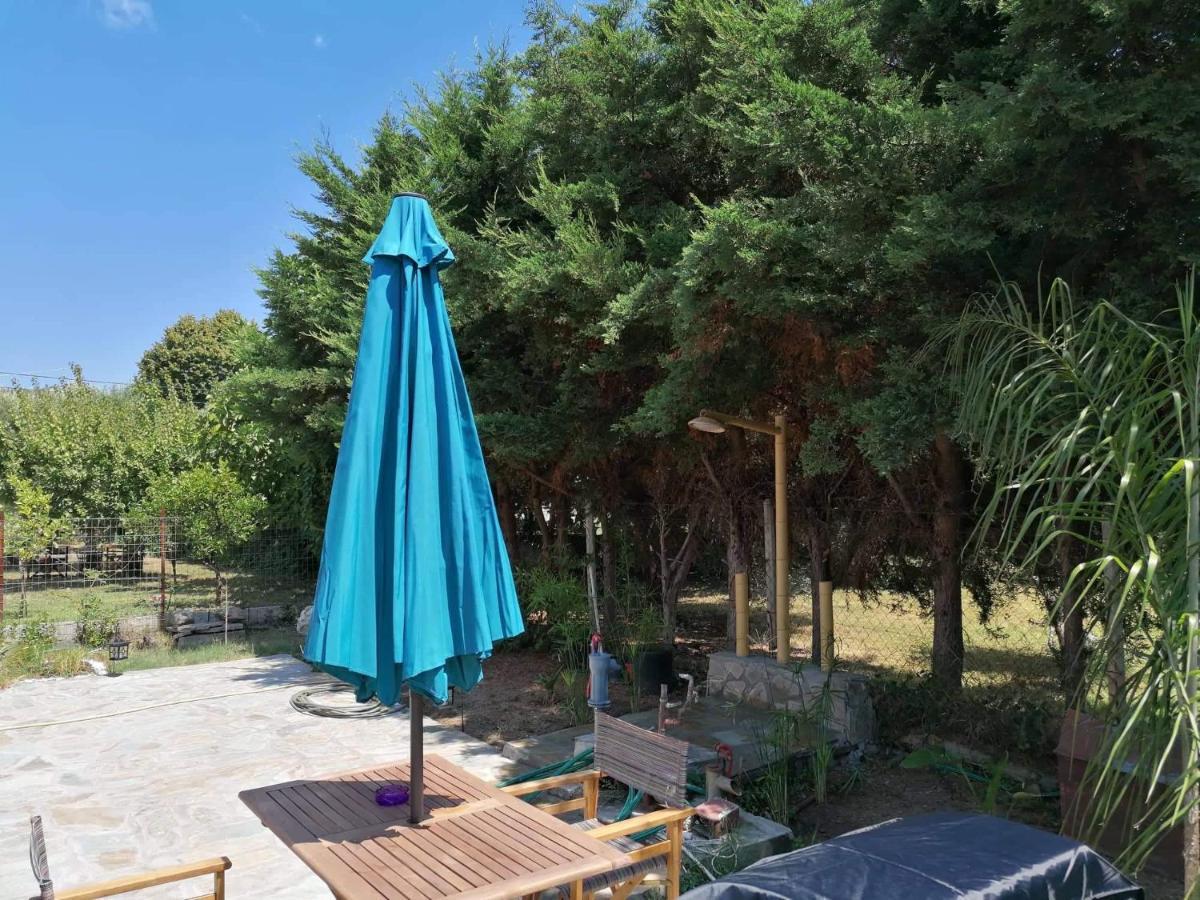 Tiny House By The Sea Villa Nea Skioni Exterior photo